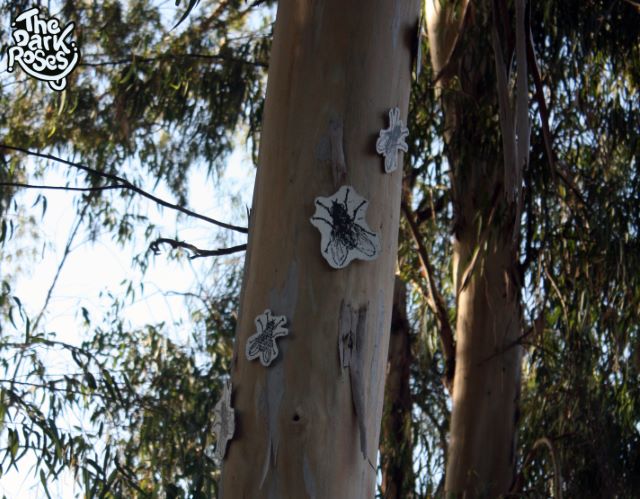 Theme: ★ flyHIGH ★ by DoggieDoe and Motus - The Dark Roses - Fethiye, Türkiye 27. September 2012